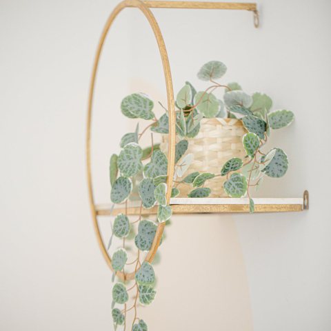Ring Wall Planter