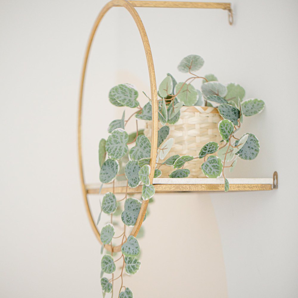 Ring Wall Planter