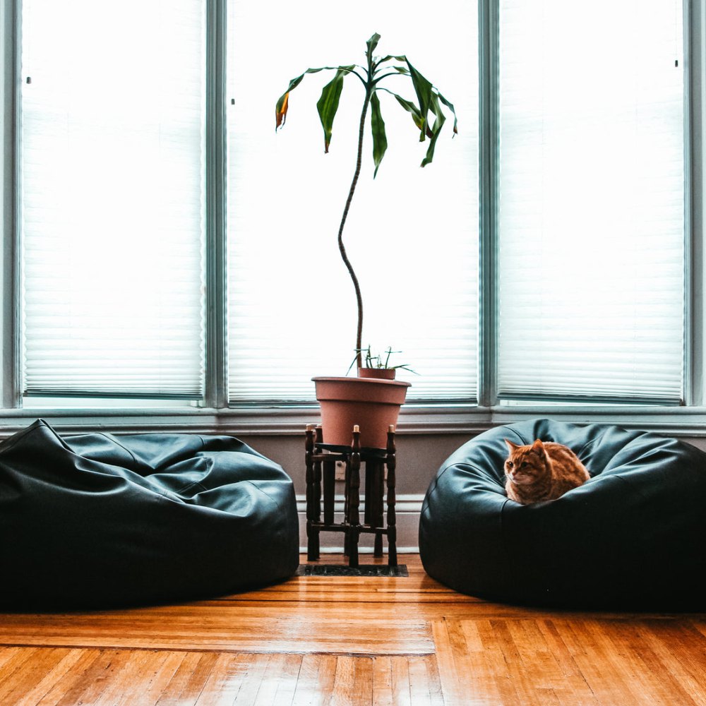 Puff Bean Bag